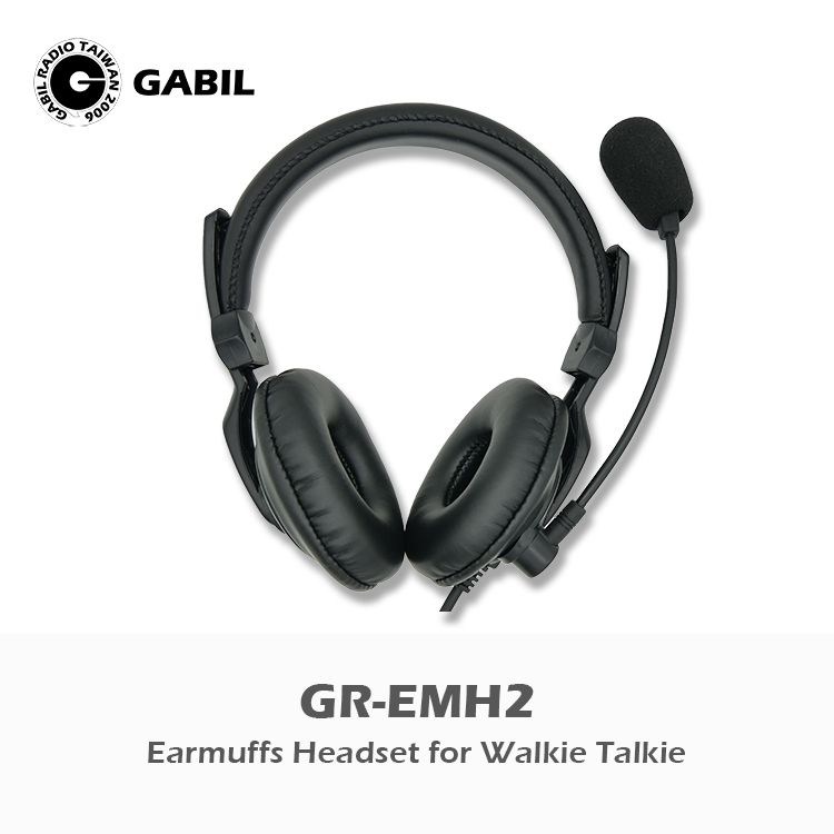 GR-EMH2_1.jpg